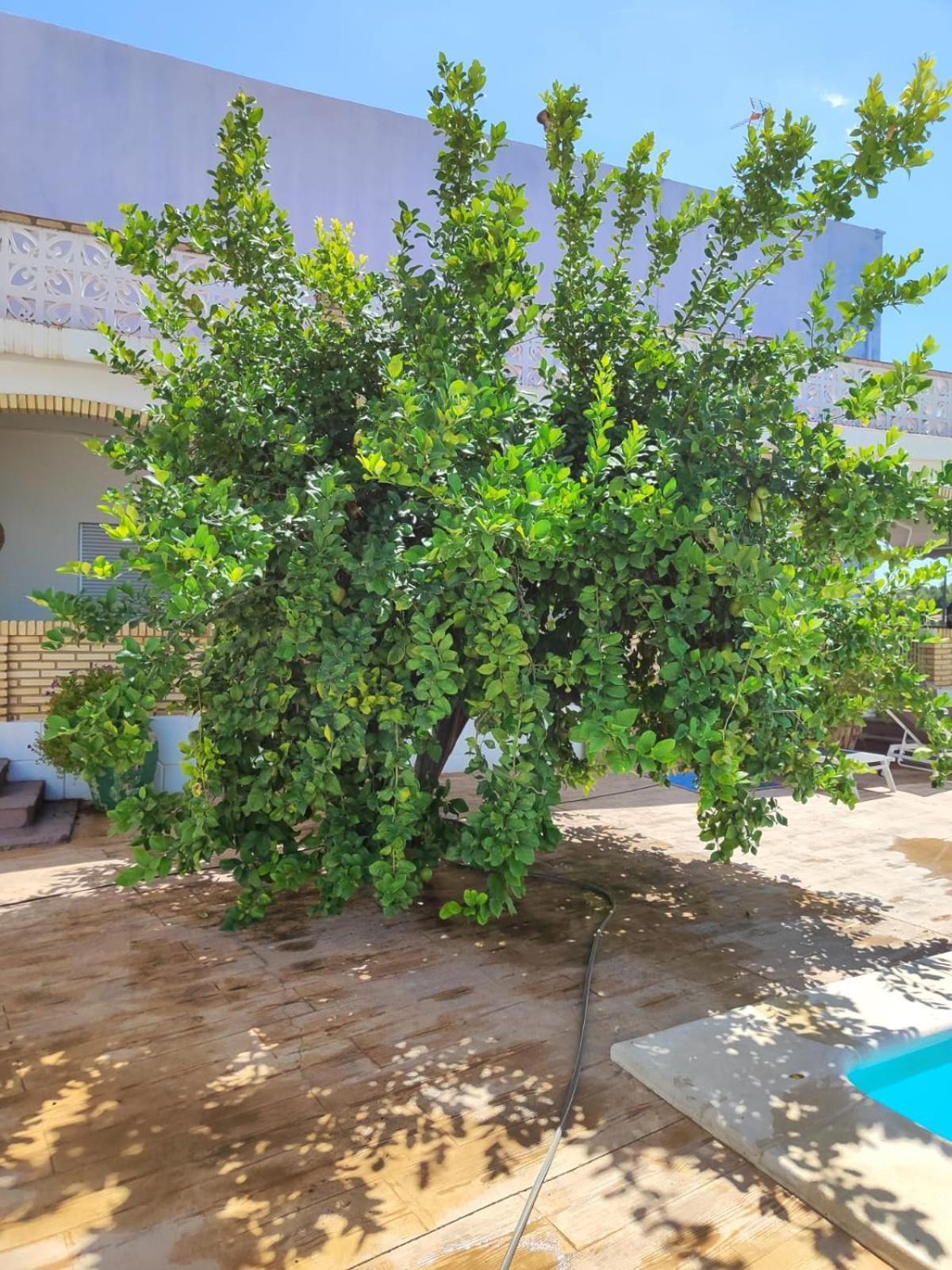 Villa El Recreo, Private Pool & Bbq à Godelleta Extérieur photo